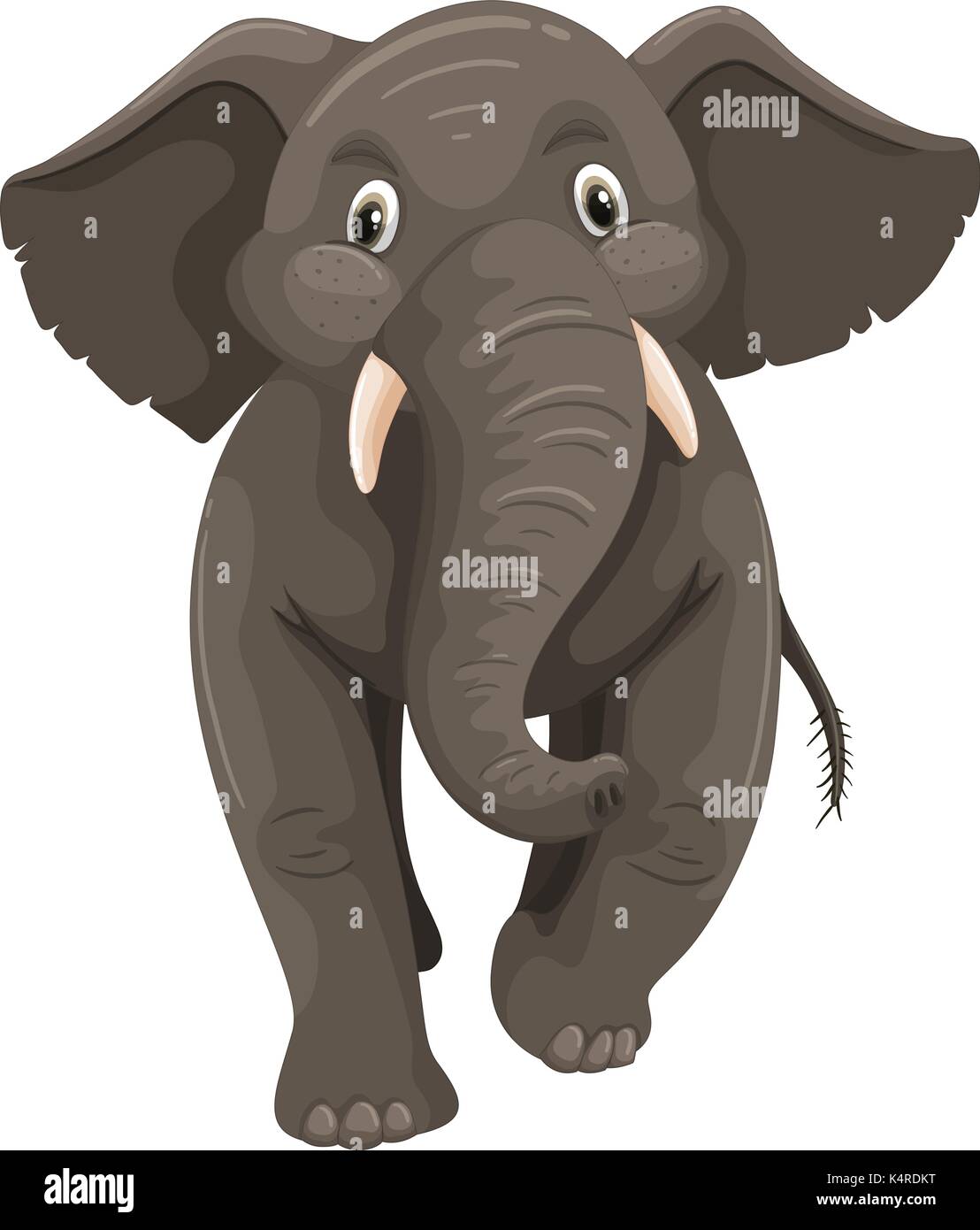 Wild elephant on white background illustration Stock Vector Image & Art
