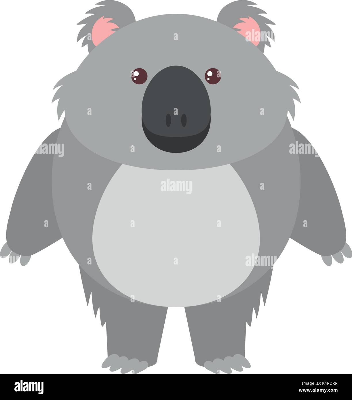 Cute koala bear on white background illustration Stock Vector Image ...