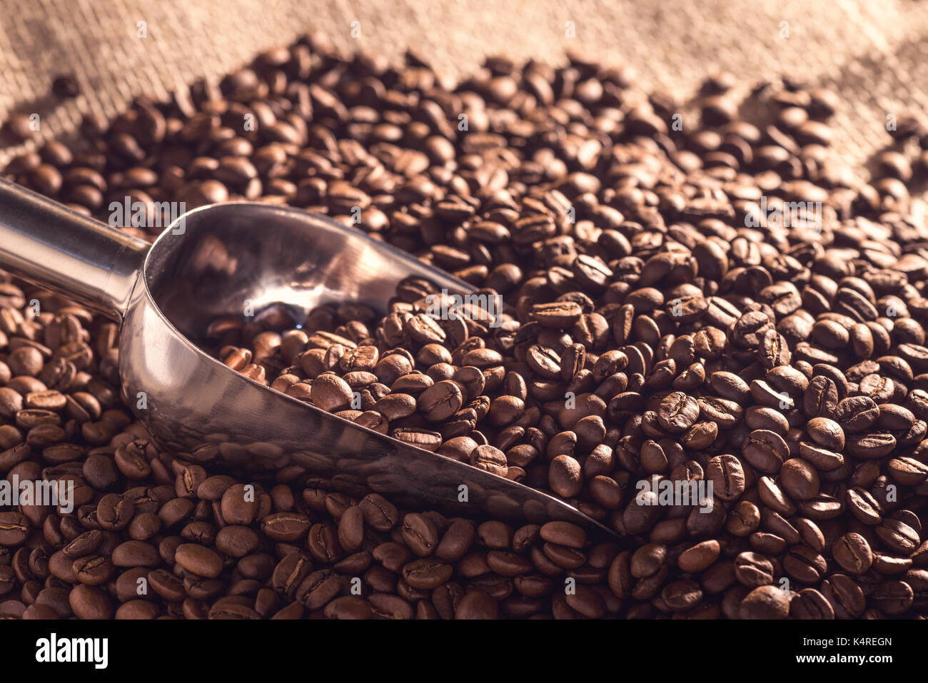 Stainless steel spoon picking up roasted coffee beans. Stock Photo