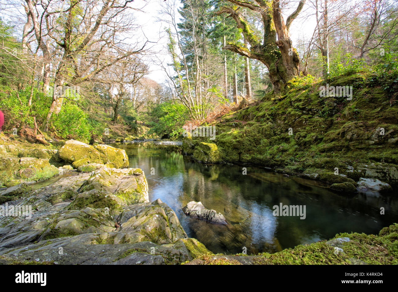 Shimna river in Tollymore Forest Park in Castlewellan, Newcastle County Down Northern Ireland Stock Photo