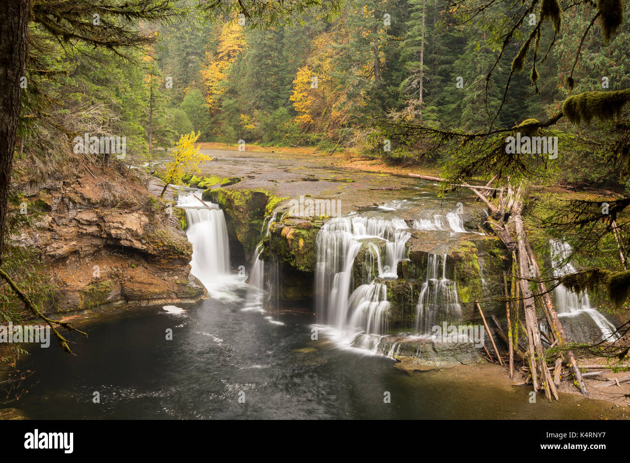 Lower Lewis Falls, located in the Gifford Pinchot National Forest, Washington State, USA Stock Photo