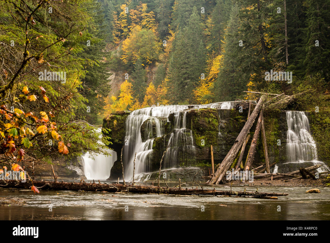 Lower Lewis Falls, located in the Gifford Pinchot National Forest