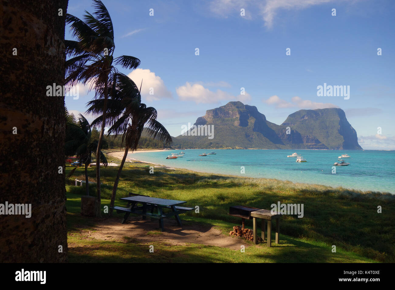 Picnic table and BBQ overlooking the Lagoon, Lord Howe Island, NSW, Australia Stock Photo