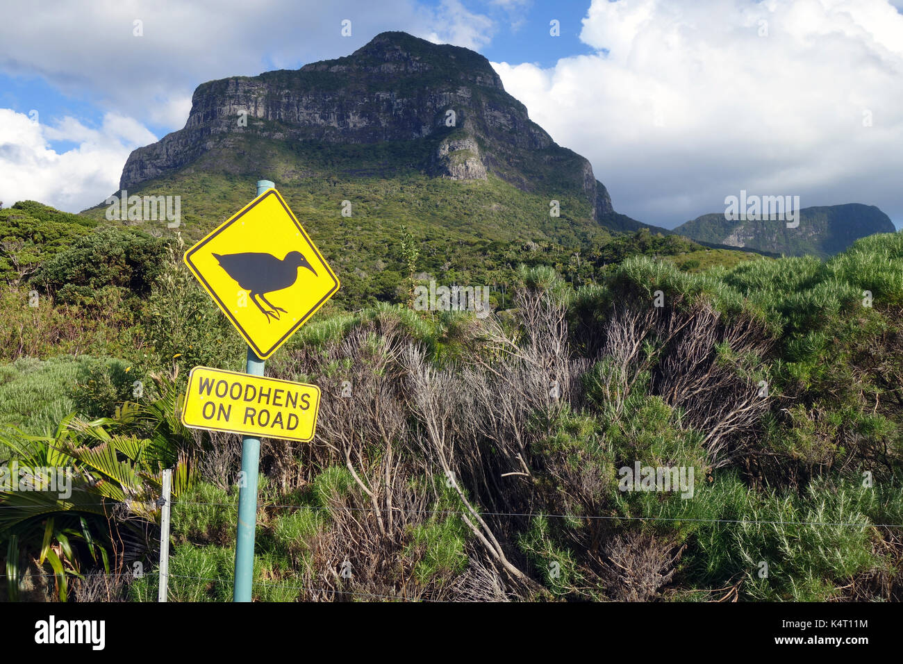 Sign cautioning of woodhens on road, near Mt Lidgbird, Lord Howe Island, NSW, Australia Stock Photo