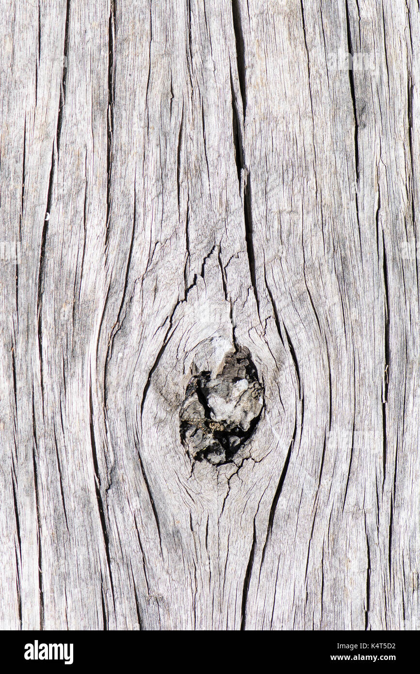 Abstract textures of cracking and aging wooden railway sleepers, showing distinct wood grain and knot. Stock Photo