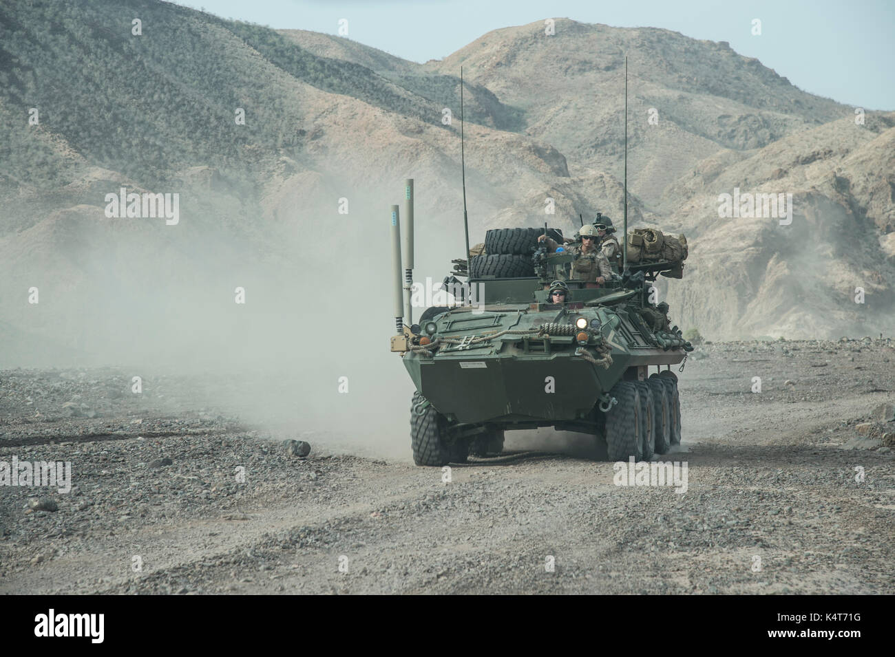 LAV-25 Armored Vehicle Stock Photo