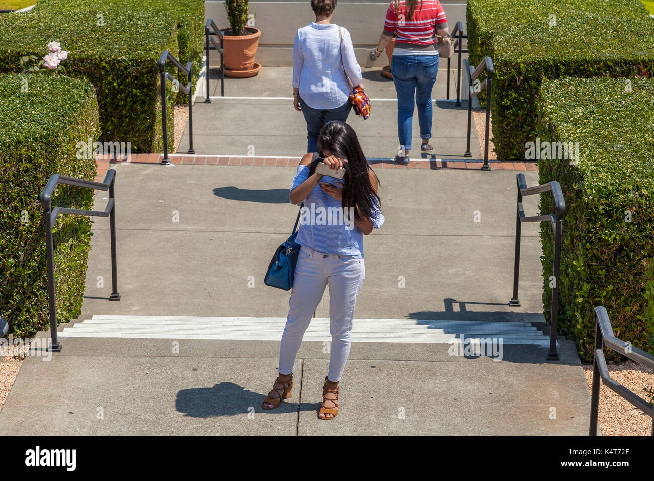 Tourists texting outside Domaine Carneros Winery, Sonoma, CA, USA Stock Photo