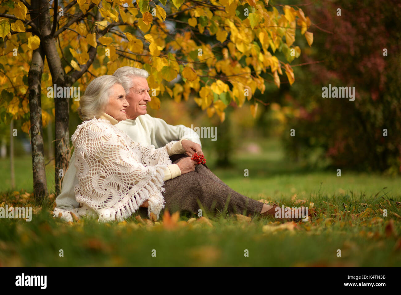portrait of beautiful senior couple sitting in the park Stock Photo - Alamy