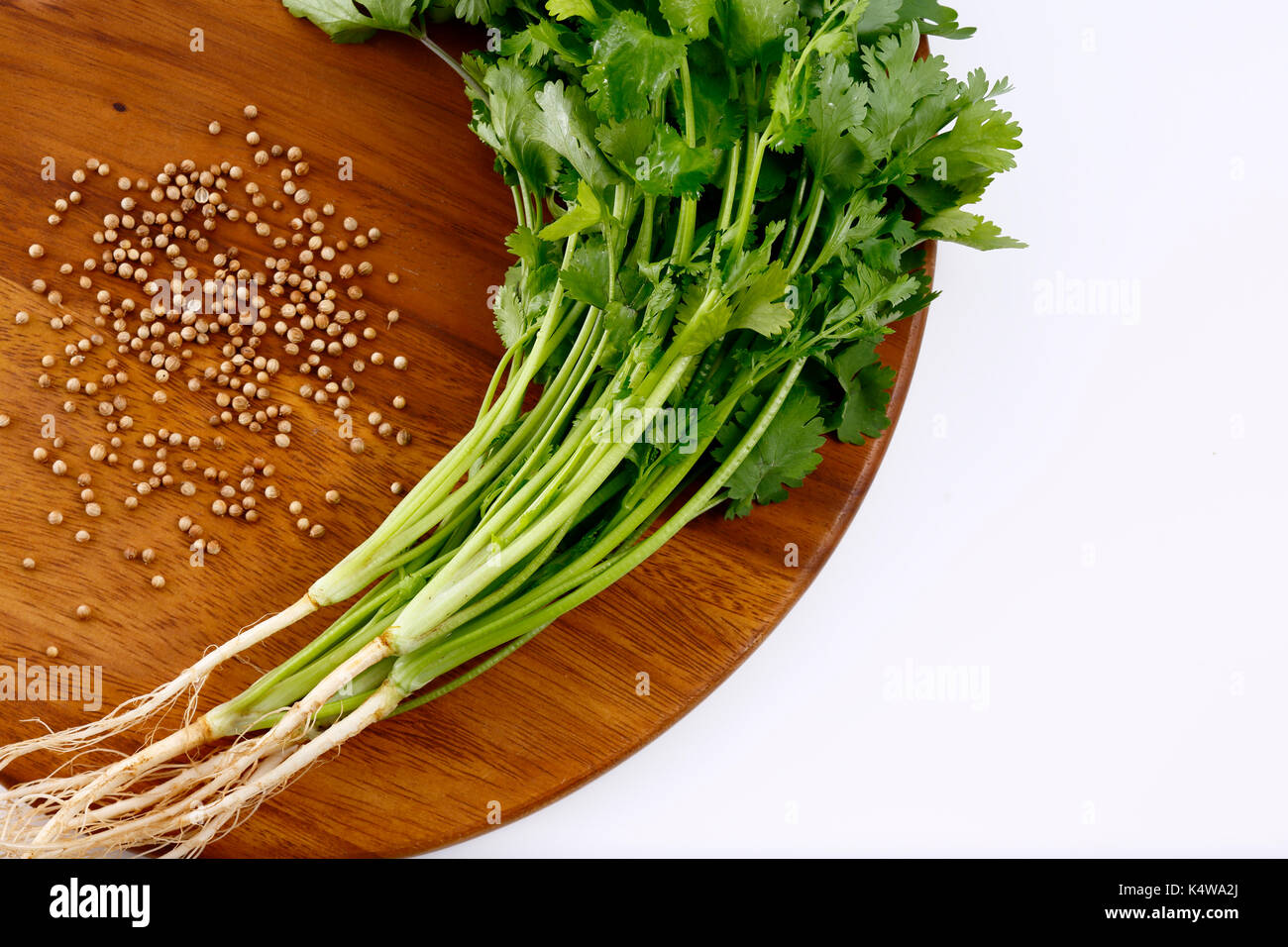 Coriander hi-res stock photography and images - Alamy