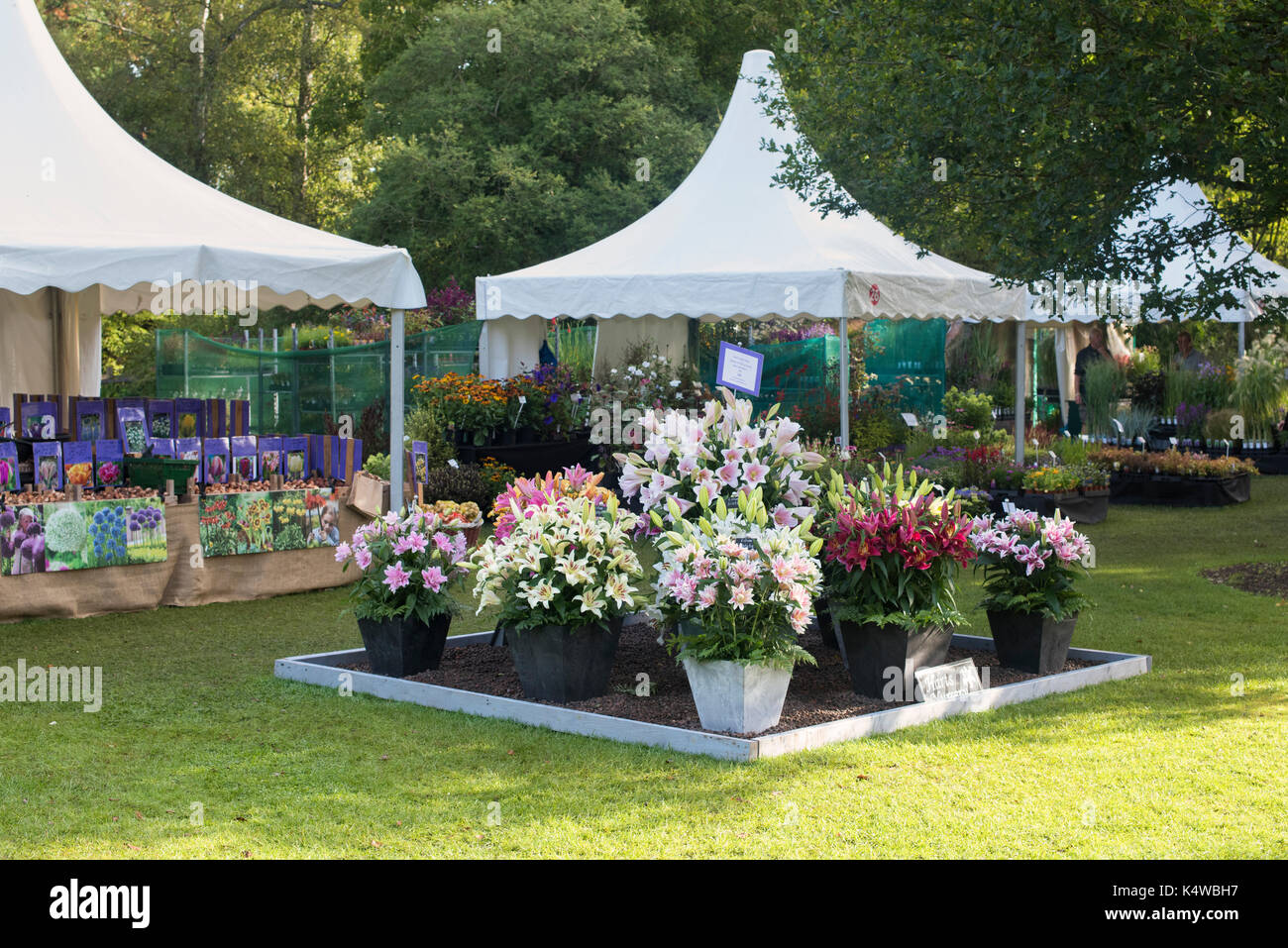 RHS Wisley flower show 2017. RHS Wisley Gardens, Surrey, UK Stock Photo