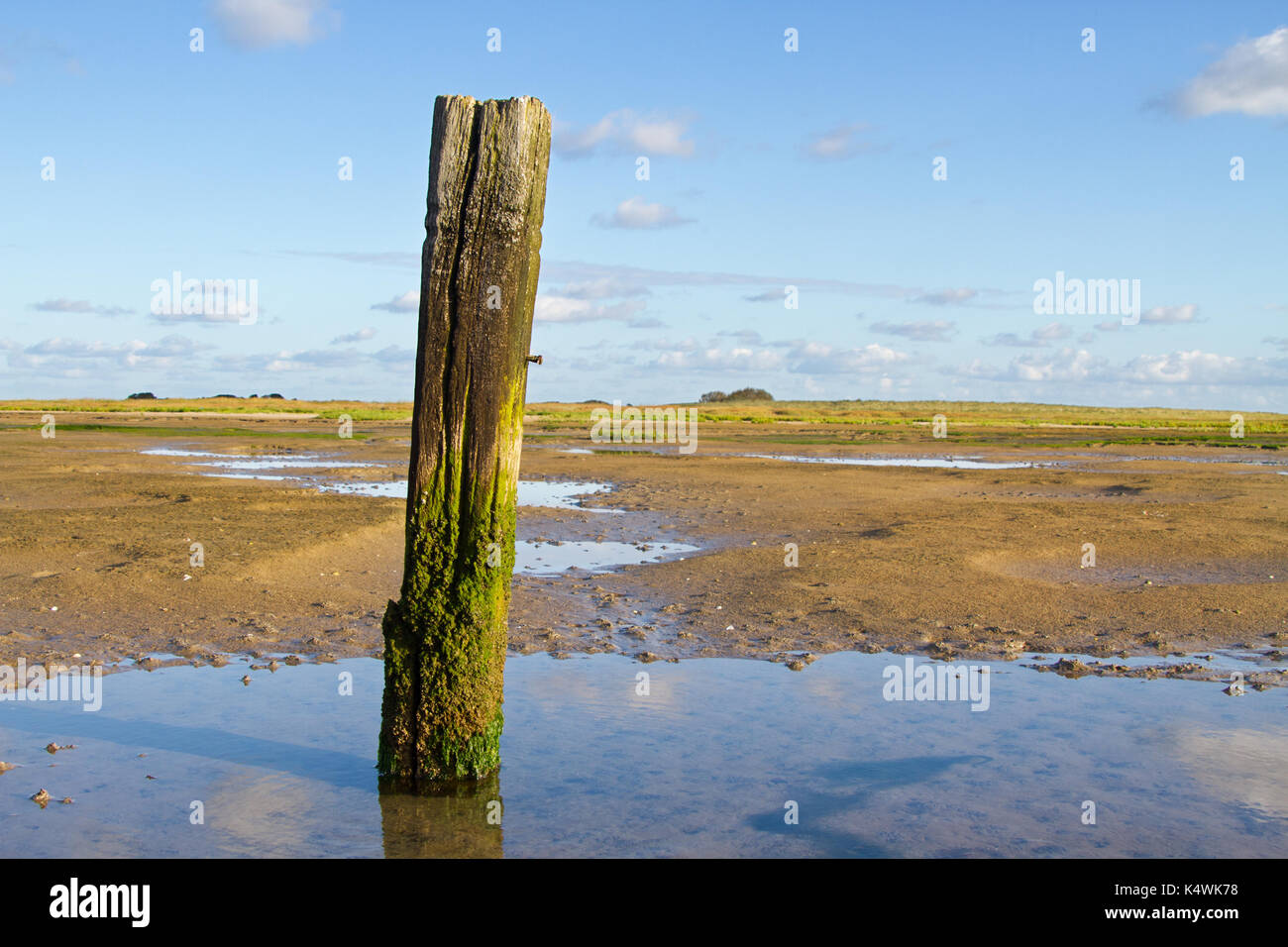 Weathered marking pole on mud flat at ebb tide Stock Photo