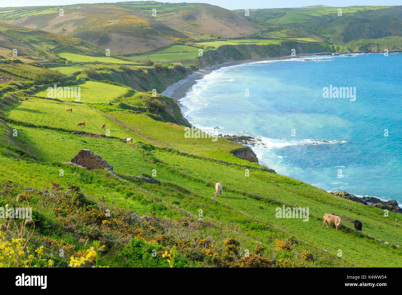 France, Manche (50), Cotentin, Cap de la Hague, Auderville, la baie d