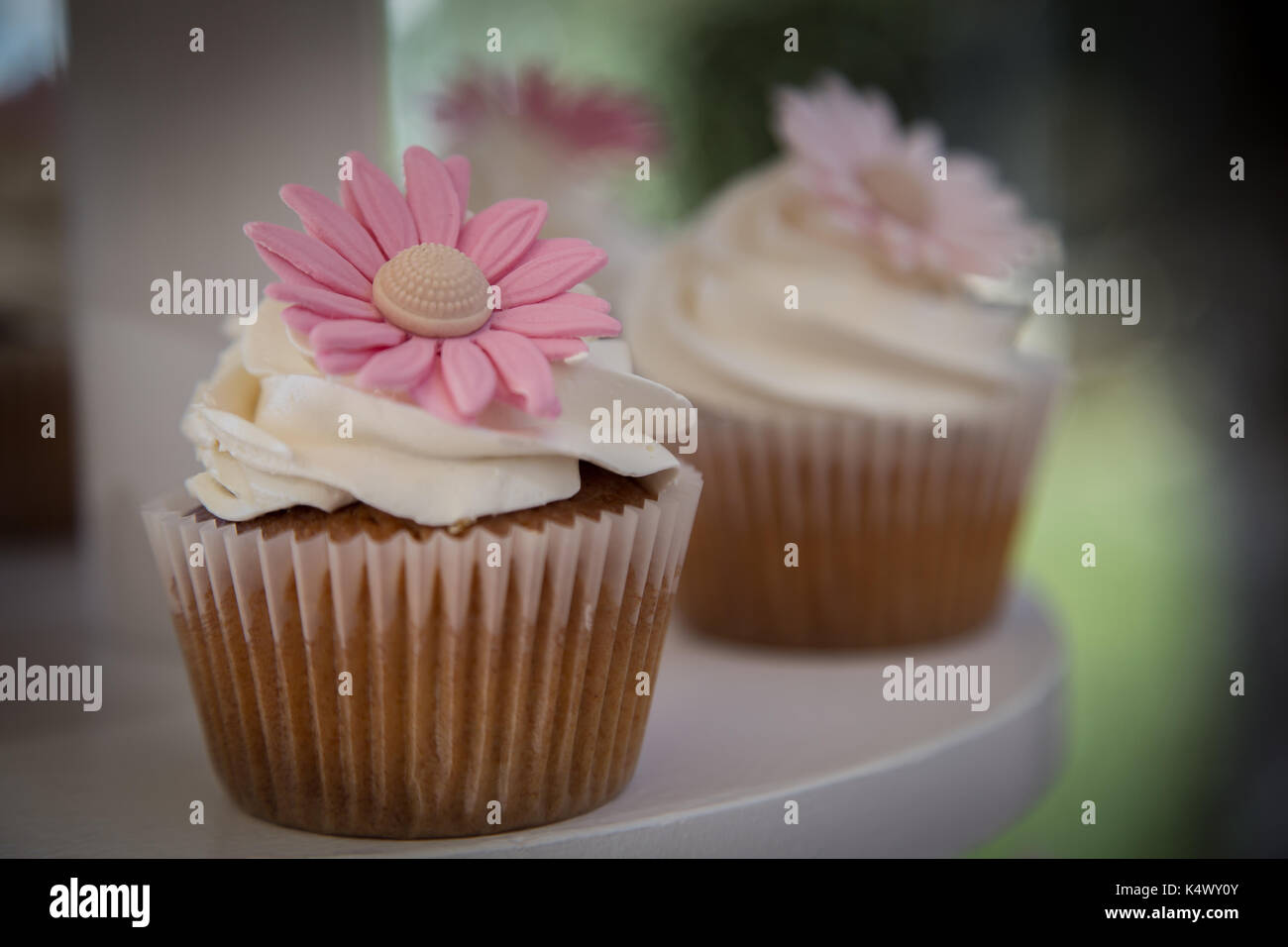 Pink daisy cupcake for a wedding Stock Photo