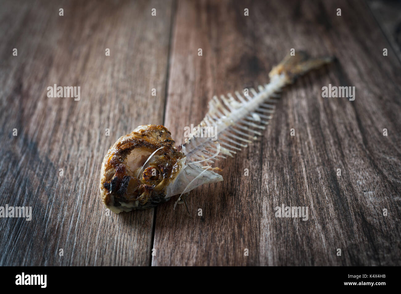 Close up of fish bone on rustic wooden background. Stock Photo