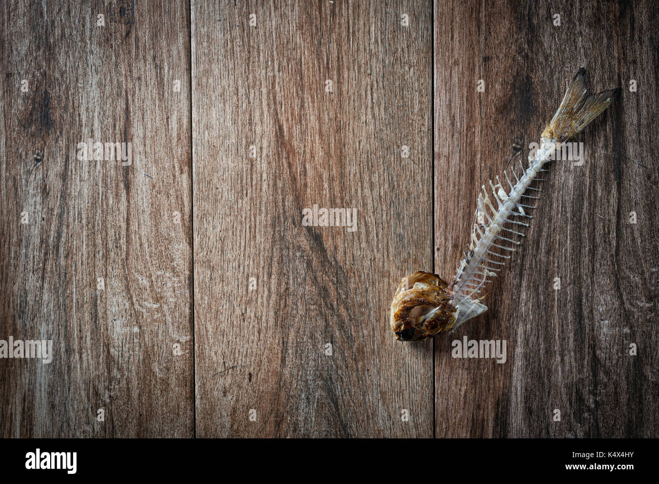 Fish bone on rustic wooden background. Stock Photo