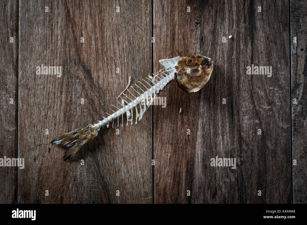 Fish bone on rustic wooden background. Stock Photo