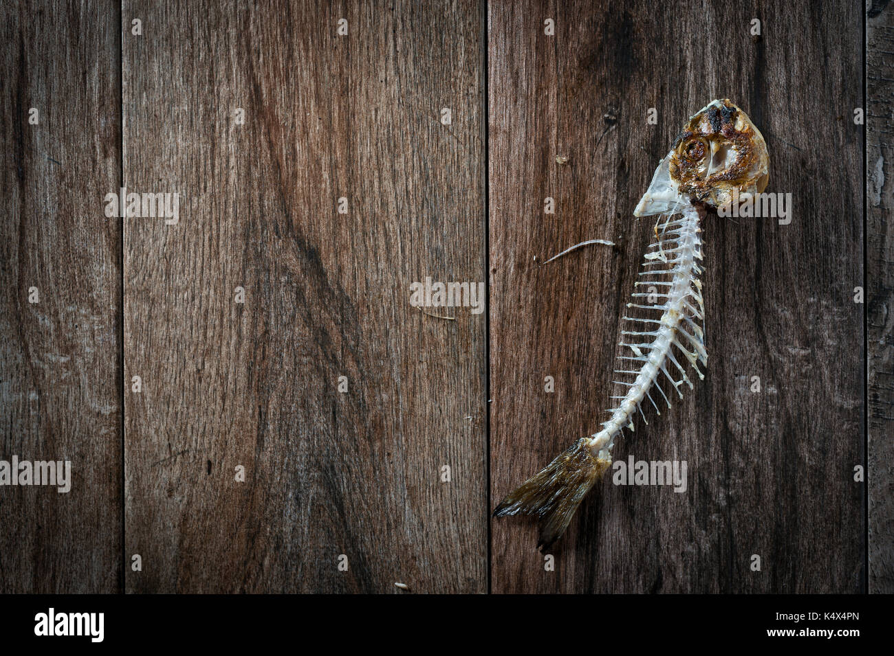 Fish bone on rustic wooden background. Some negative space around. Stock Photo
