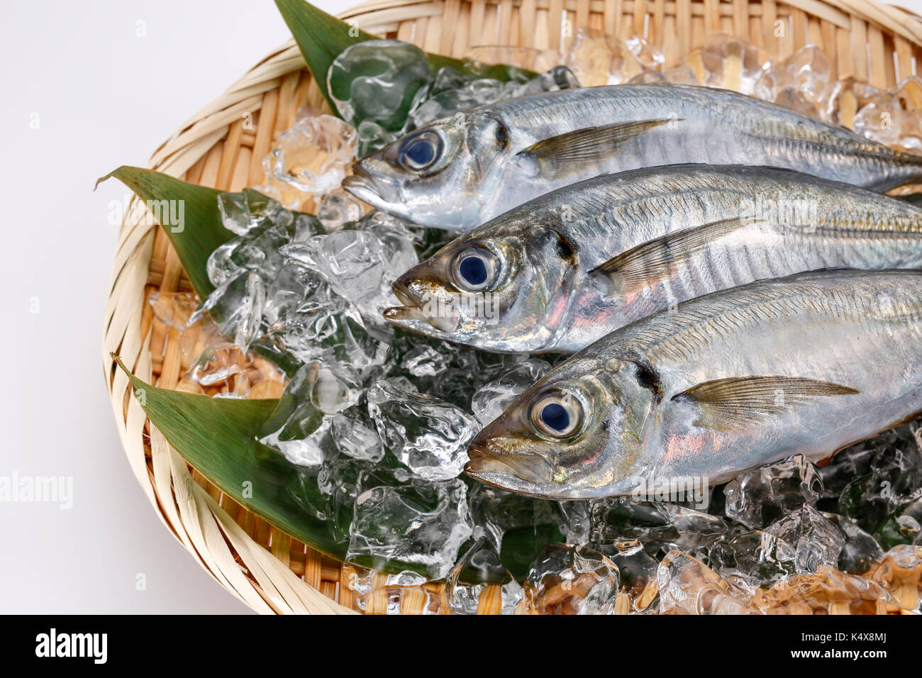 Japanese Horse Mackerel Stock Photo Alamy