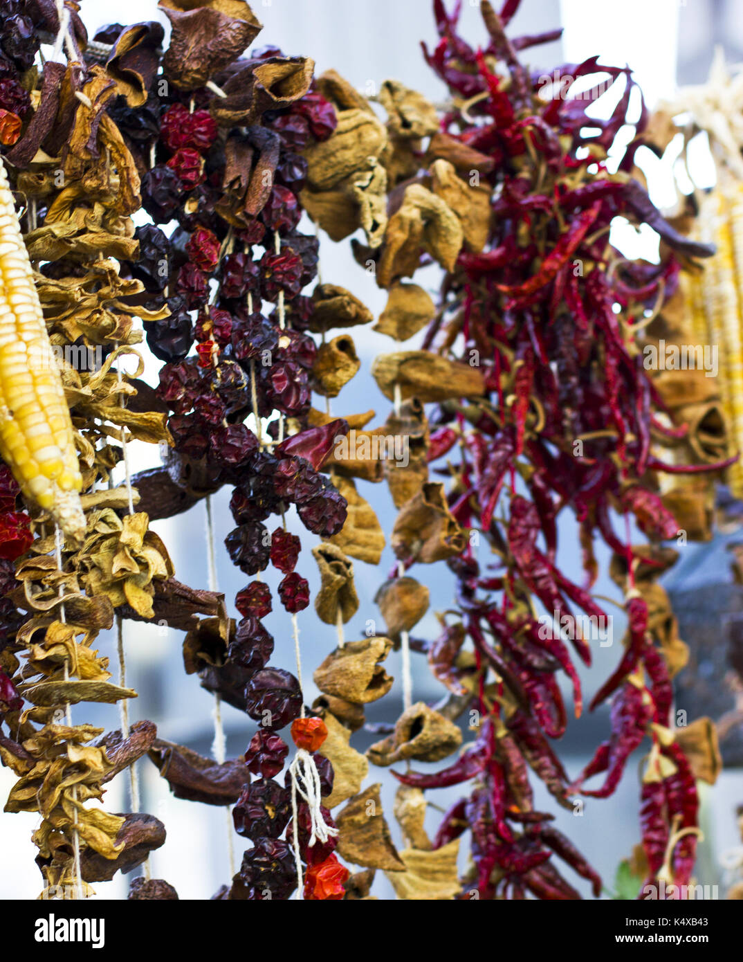 Dry vegetables and spices on ropes. Stock Photo
