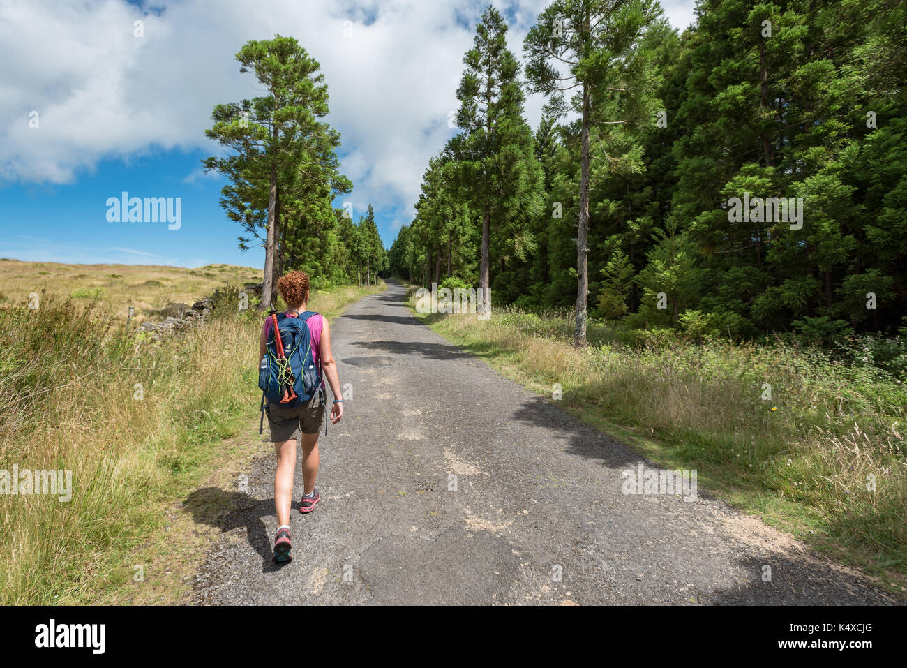 A lone woman walks along, Hiking path National Park, Azores, Terceira Portugal Stock Photo