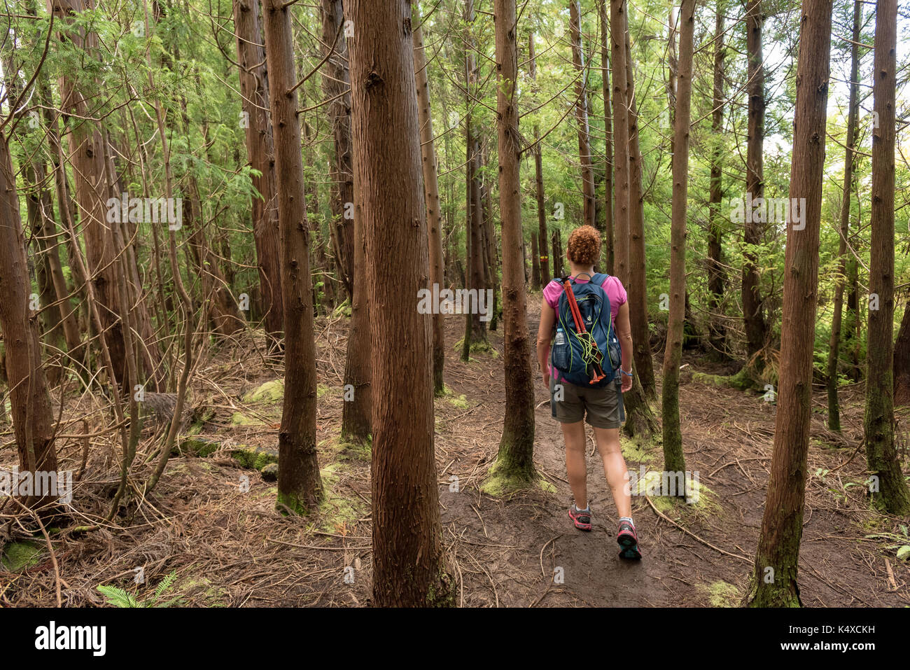 A lone woman walks along, Hiking path National Park, Azores, Terceira Portugal Stock Photo
