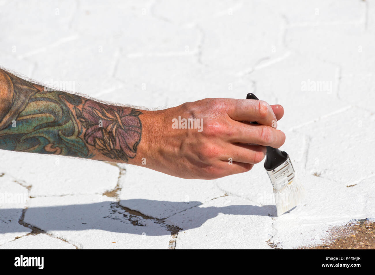 painting pavers with white paint - tattooed arm and hand holding paint brush at Bournemouth, Dorset UK Stock Photo