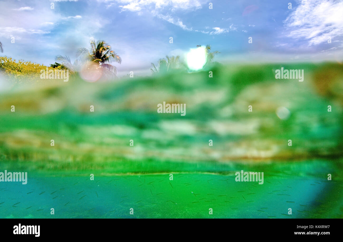 The underwater world of the Sulu Sea Stock Photo
