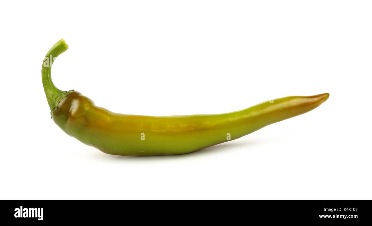 One fresh green and brown jalapeno chili pepper isolated on white background, close up, side low angle view Stock Photo