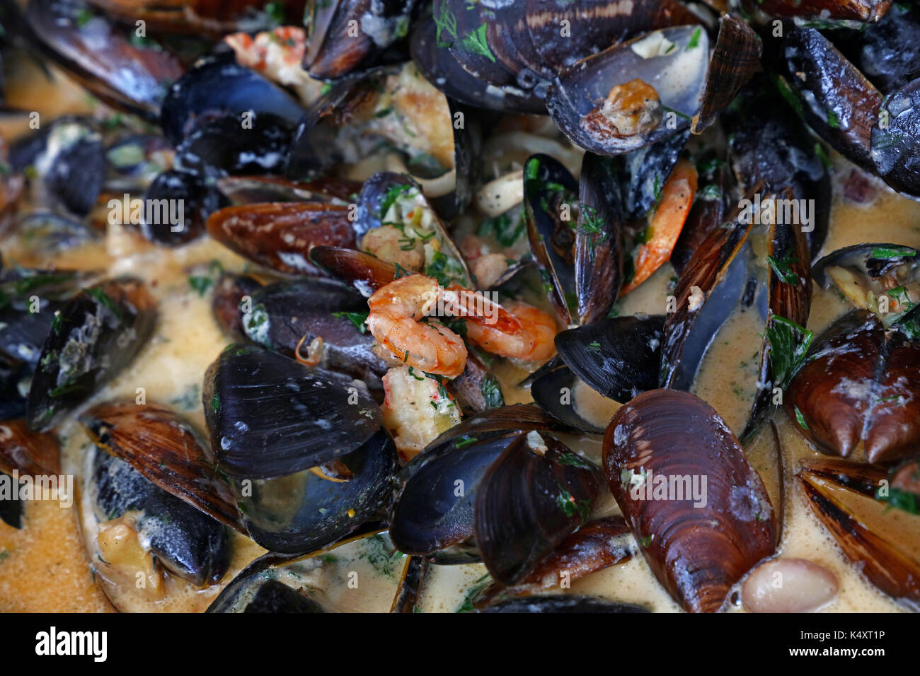 Cooking seafood saute steamed and roasted mussels and shrimps in sauce, close up, elevated high angle view Stock Photo