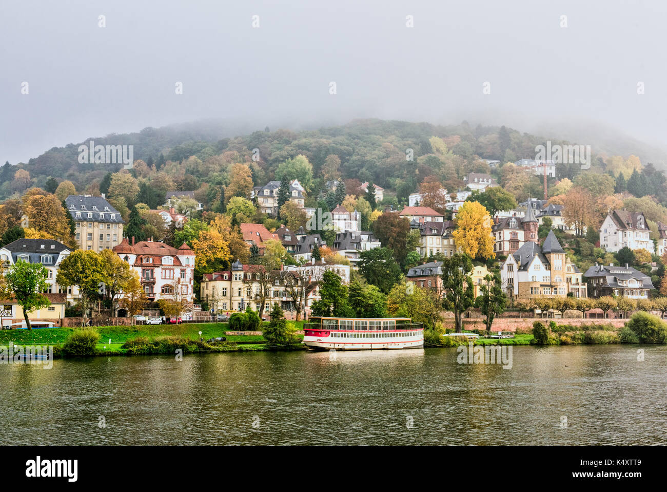 Heidelberg city in Germany, riverside cıty with charming houses nestled ...