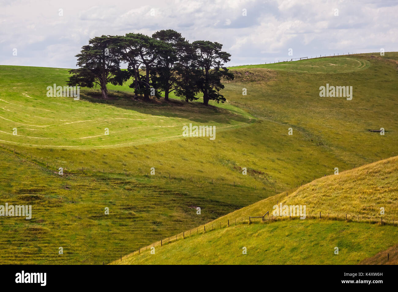 Rolling hills in Victoria, Strzelecki Rangers, Australia. Stock Photo