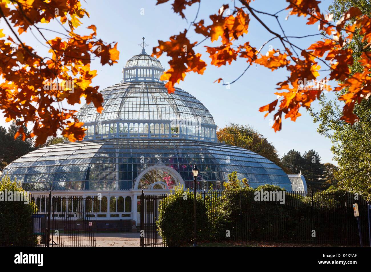 The magnificent iron and glass Palm House, Sefton Park, Liverpool, built 1896 by Mackenzie and Moncur, Glasgow, and gifted by Henry Yates Thompson. Stock Photo