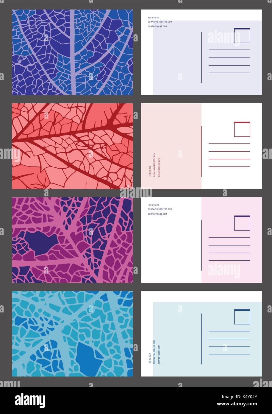 Vector icon set of various leaves frames Stock Vector