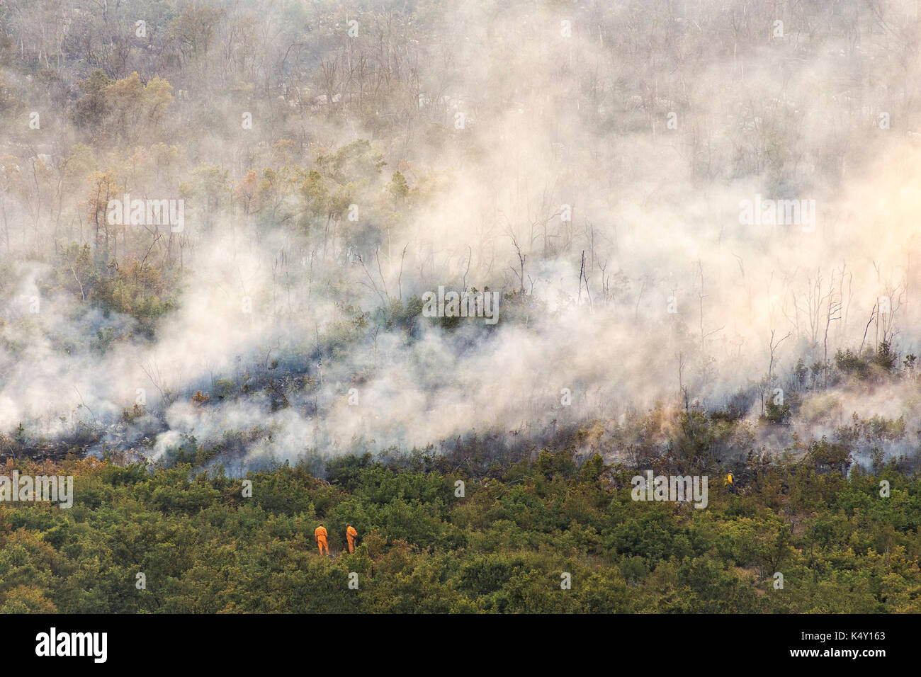 The smoke filled forest from wildfire on mountain Leotar Stock Photo