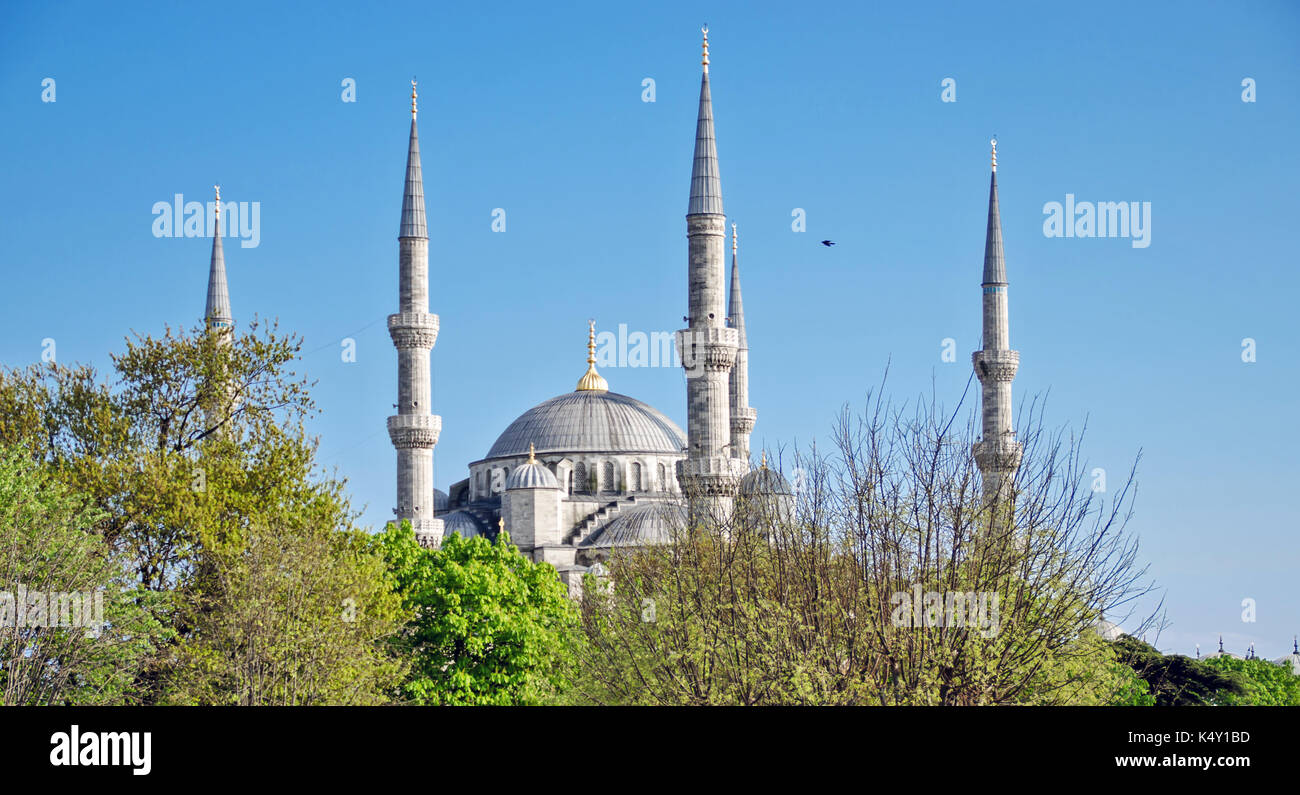 A view of the Blue Mosque in Istanbul Stock Photo - Alamy