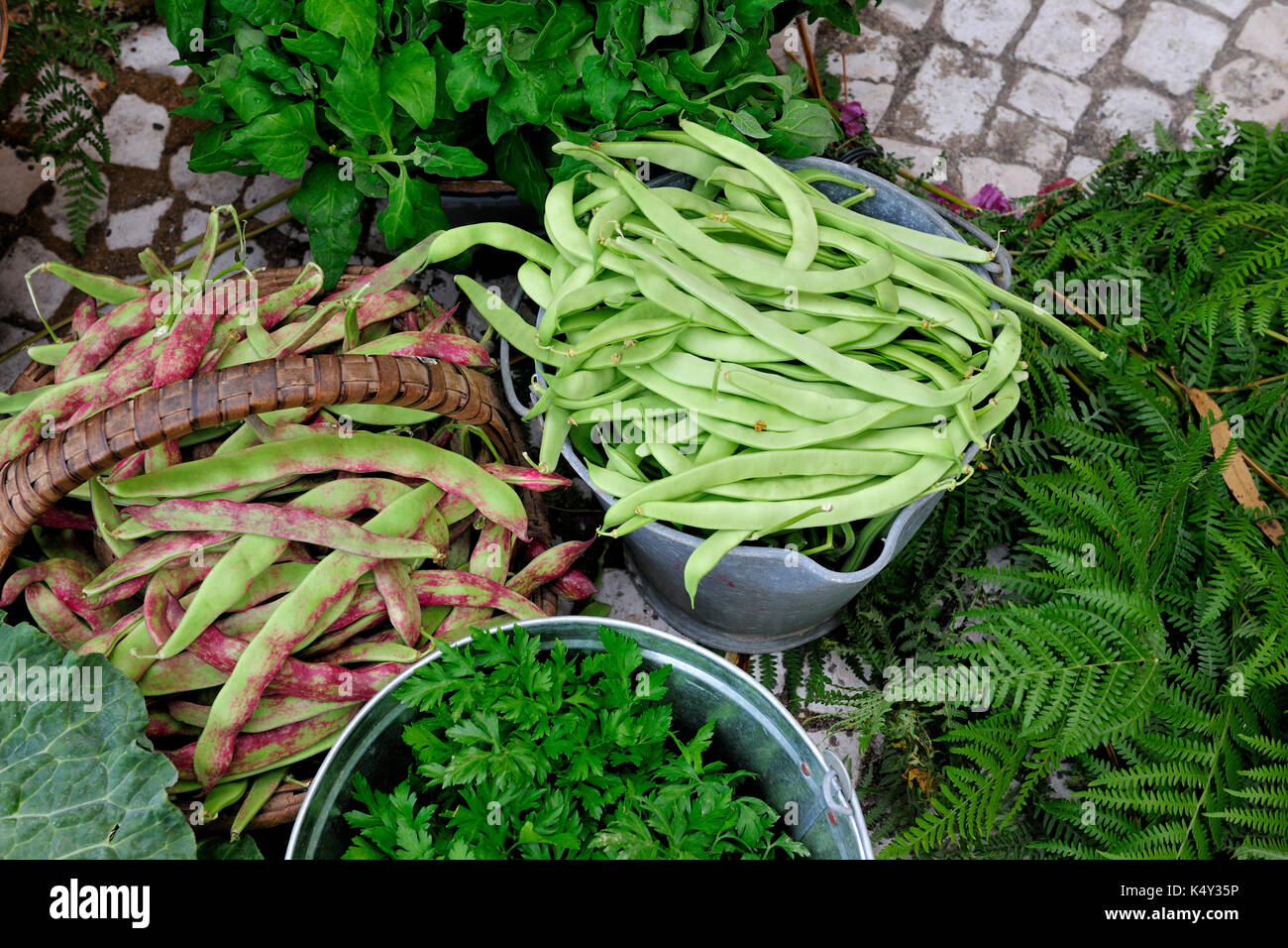 Green beans and Parsley (salsa). Food market, Lisbon. Portugal Stock Photo
