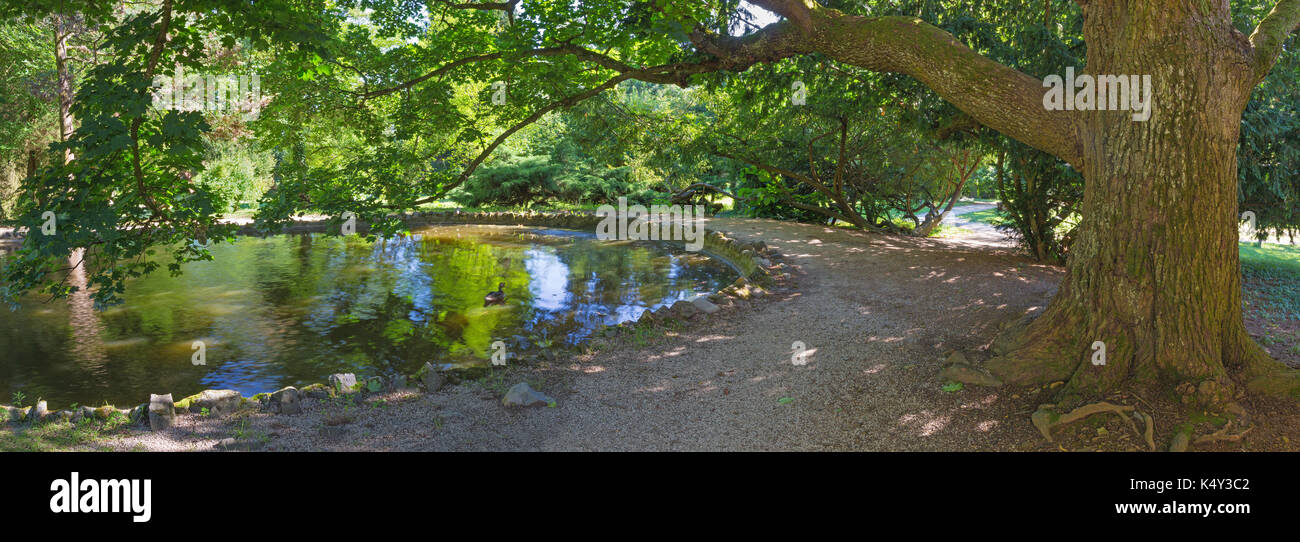 Topolcianky - The garden see under the maple tree of park from palace in Topolcianky. Stock Photo