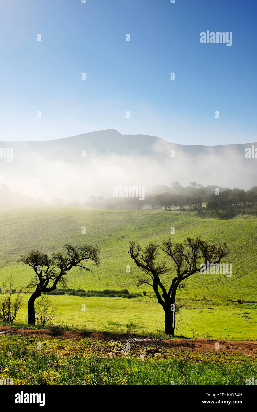 Arrabida mountain range hires stock photography and images Alamy