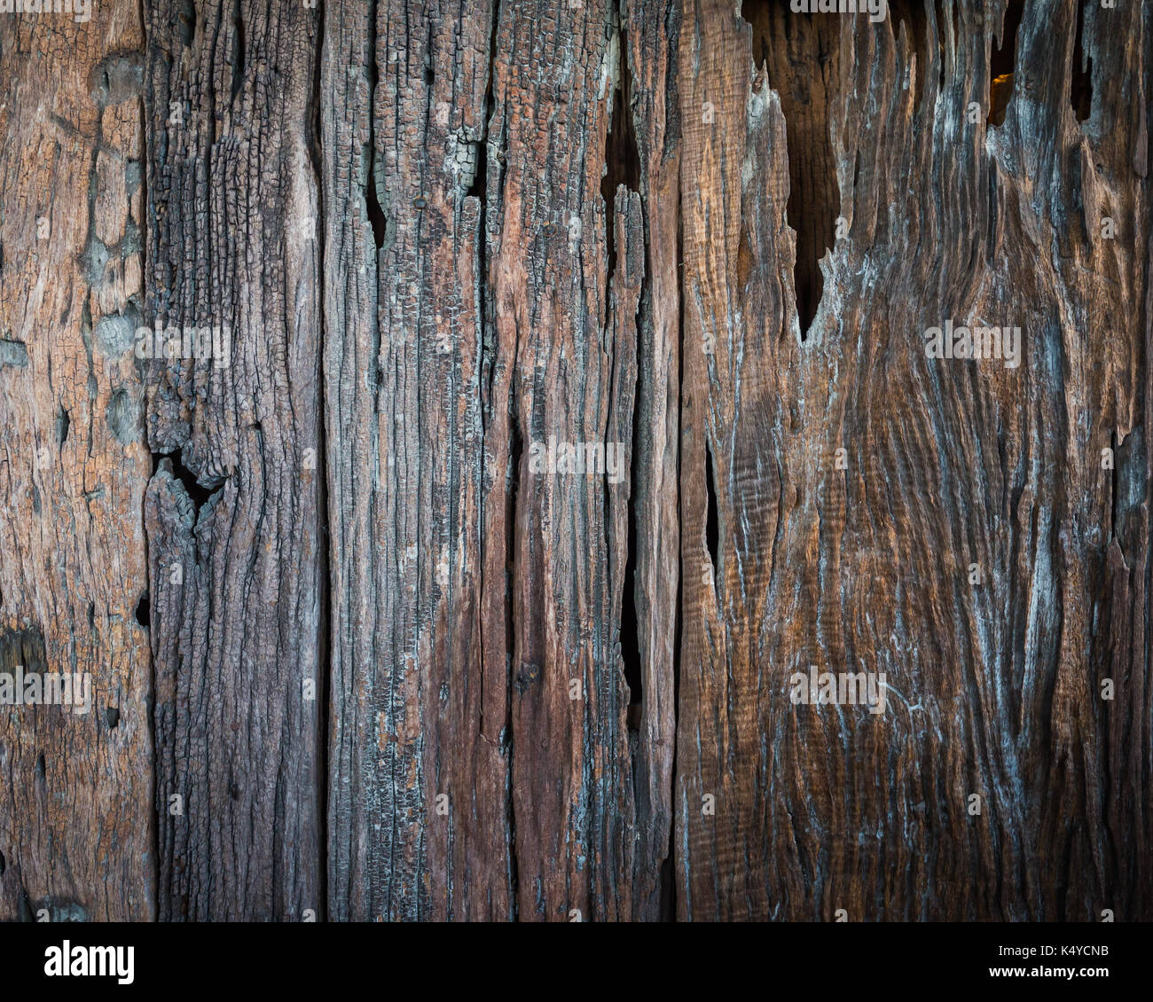 Old wood texture, Texture of bark wood use as natural background, Abstract background. Stock Photo
