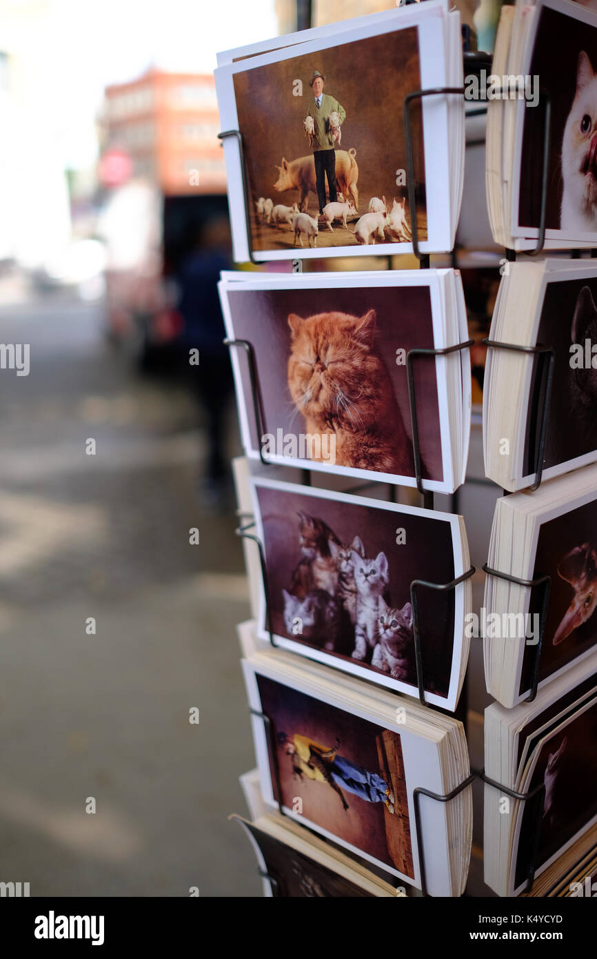 Animal postcards on sale in Porte De Vanves street antique and flea market in Paris, the Marche aux Puces Stock Photo