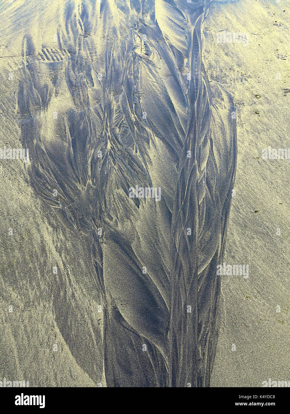 Dendritic Drainage patterns on Tenerife beach Stock Photo Alamy