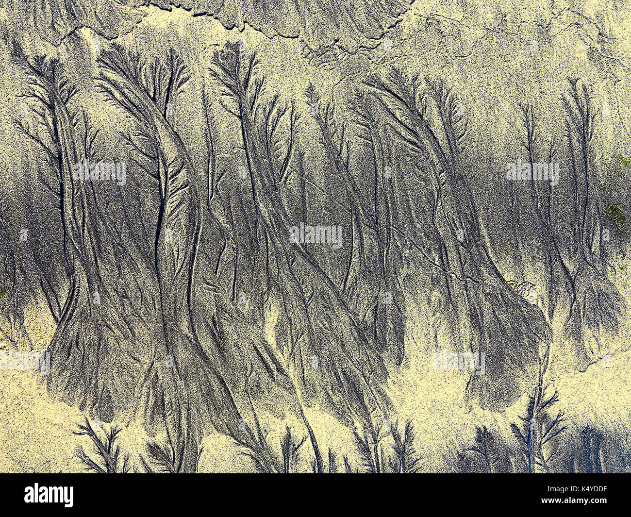Dendritic Drainage patterns on Tenerife beach Stock Photo