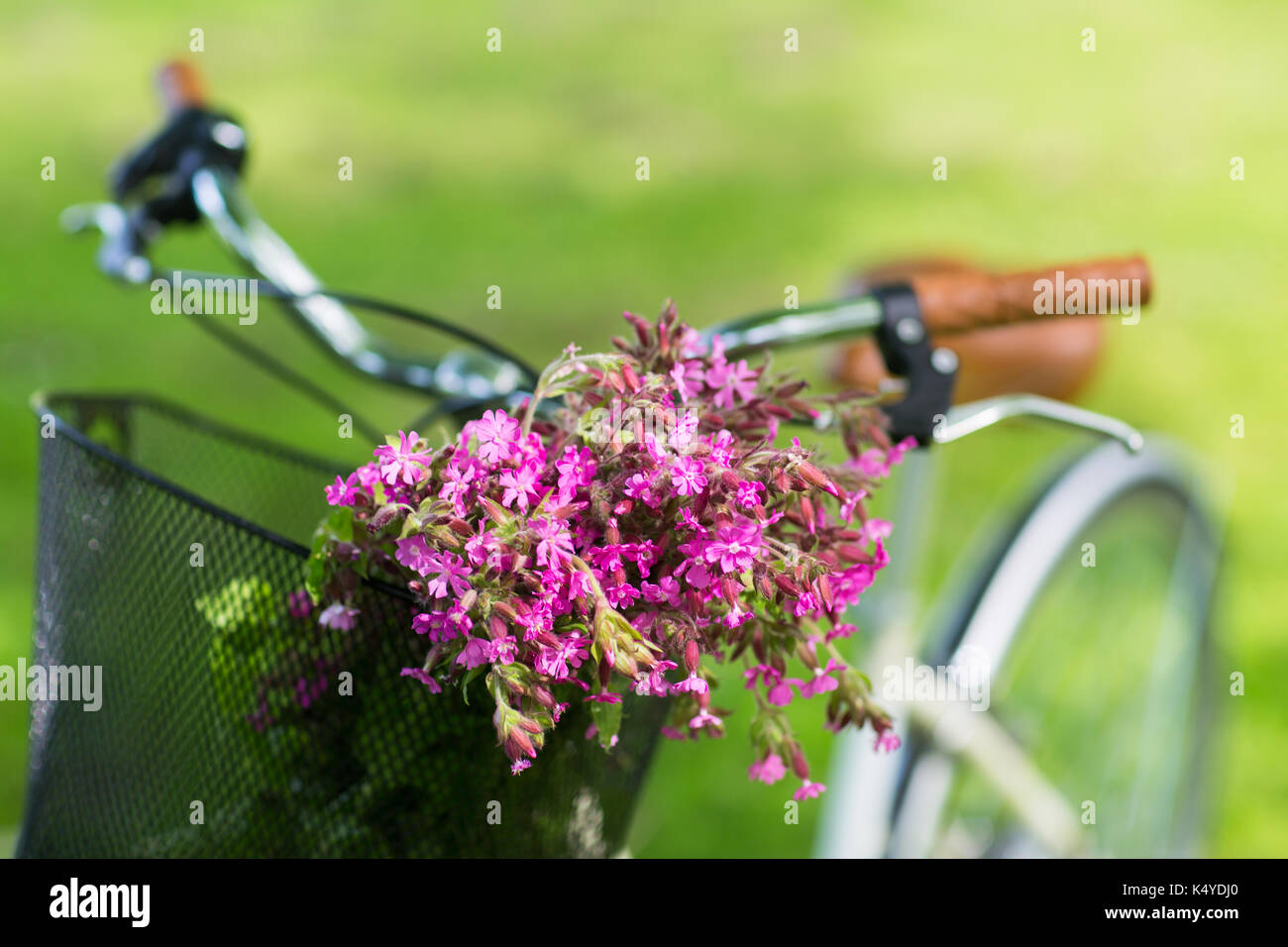close up of fixie bicycle with flowers in basket Stock Photo