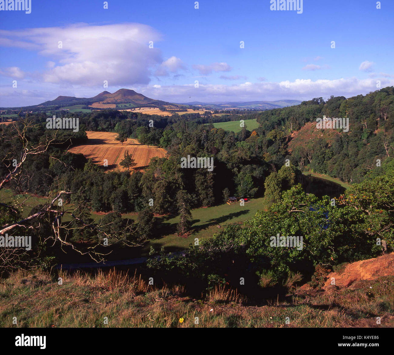 Eildon hills scottish borders hi-res stock photography and images - Alamy