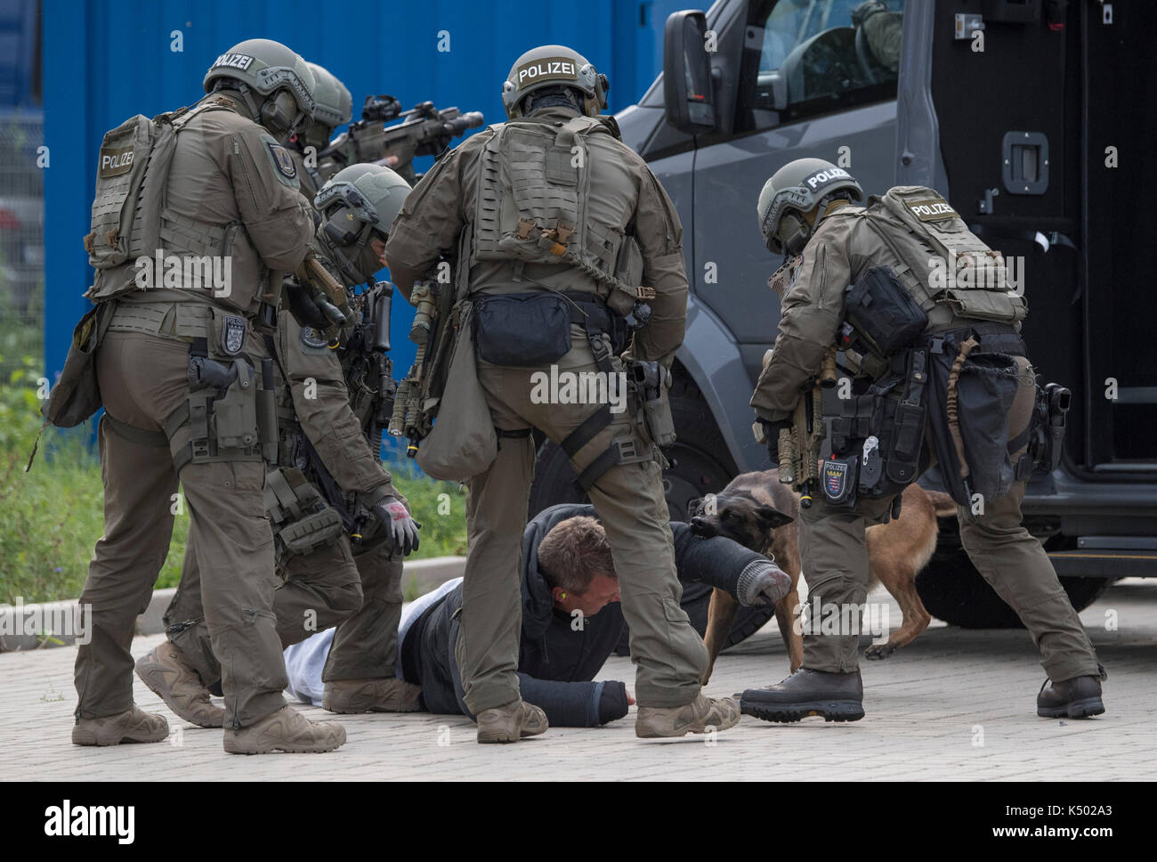 Commando dog hi-res stock photography and images - Alamy