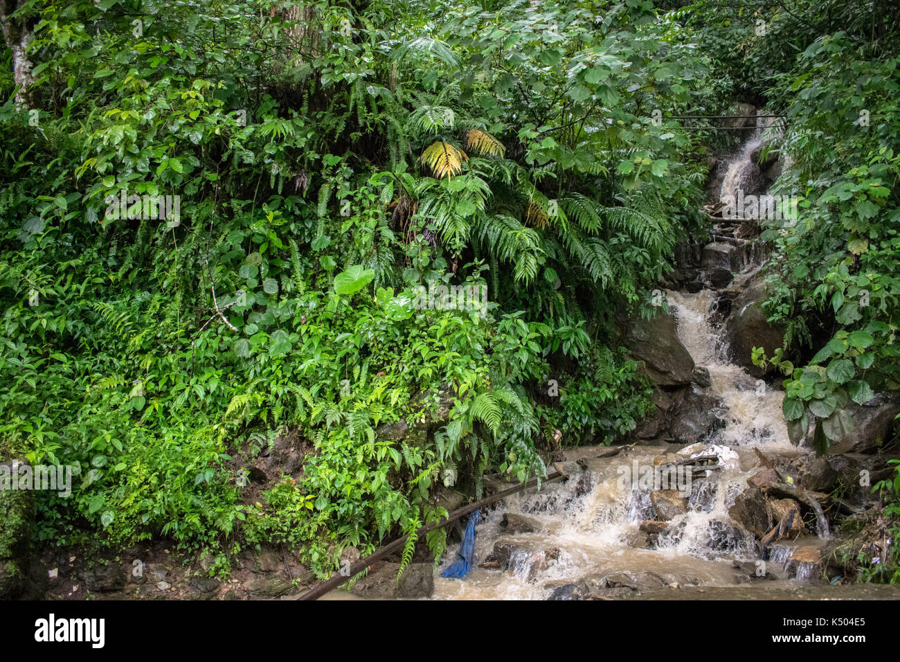 Small stream of water Stock Photo Alamy