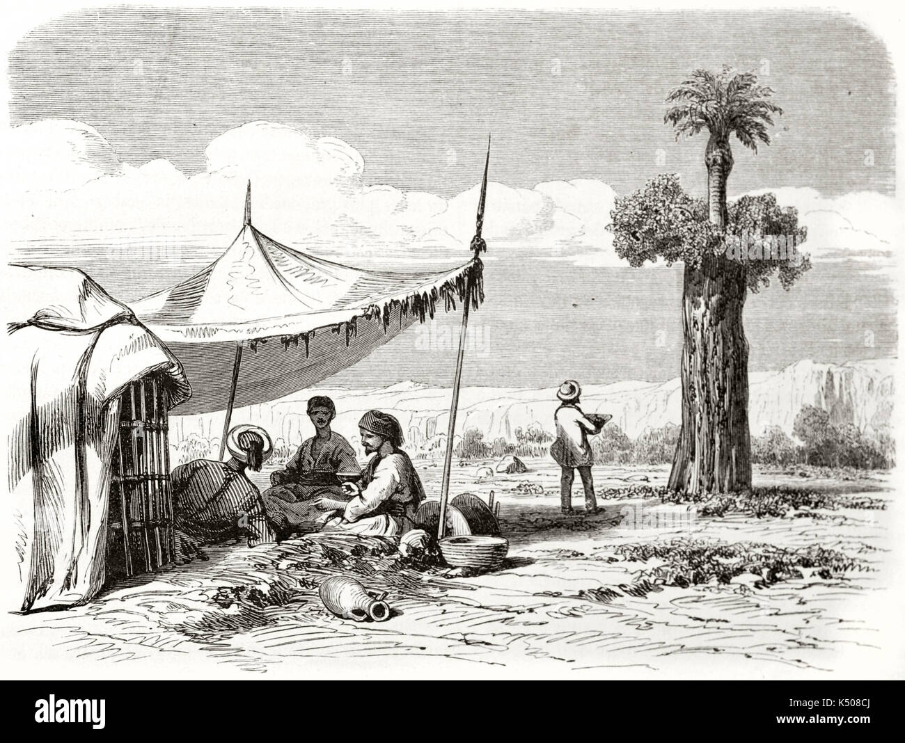 Old illustration of a symbiosis between a palm tree growing on a fig. Plants are observed by a explorer near to a encampment. By Girardet after Bolognesi published on Le Tour du Monde Paris 1862 Stock Photo