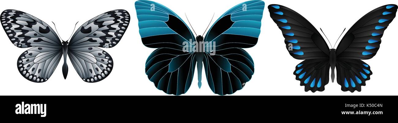Set of colorful realistic butterflies Stock Vector Image & Art - Alamy