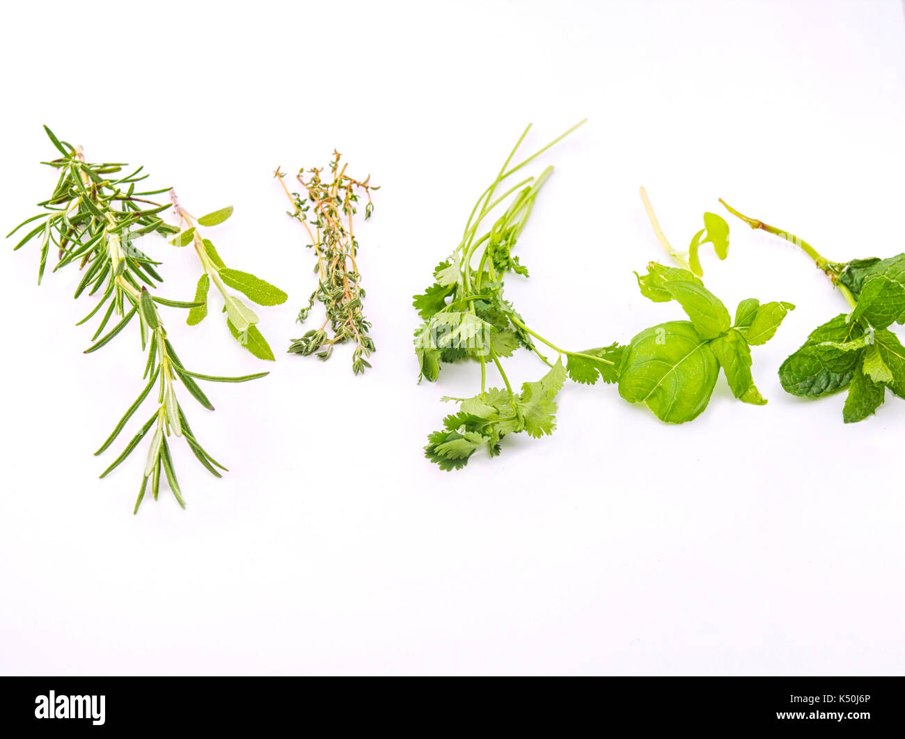 Green herbs. Rosemary, sage, thyme, coriander, basil, peppermint on white background Stock Photo