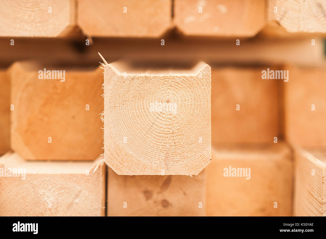 lumber industrial wood texture, timber butts background. Butt end of a processed wooden beam. Stock Photo